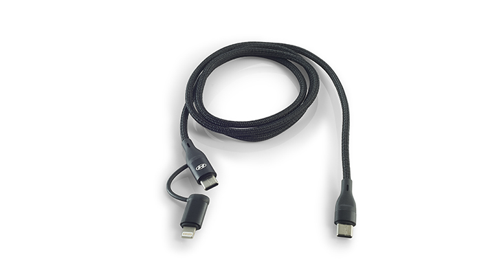 CHARGING CABLE (2 IN 1)